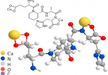 MODE OF ACTION OF RAMIL GP - A COMPREHENSIVE SOLUTION FOR MARKET HOGS